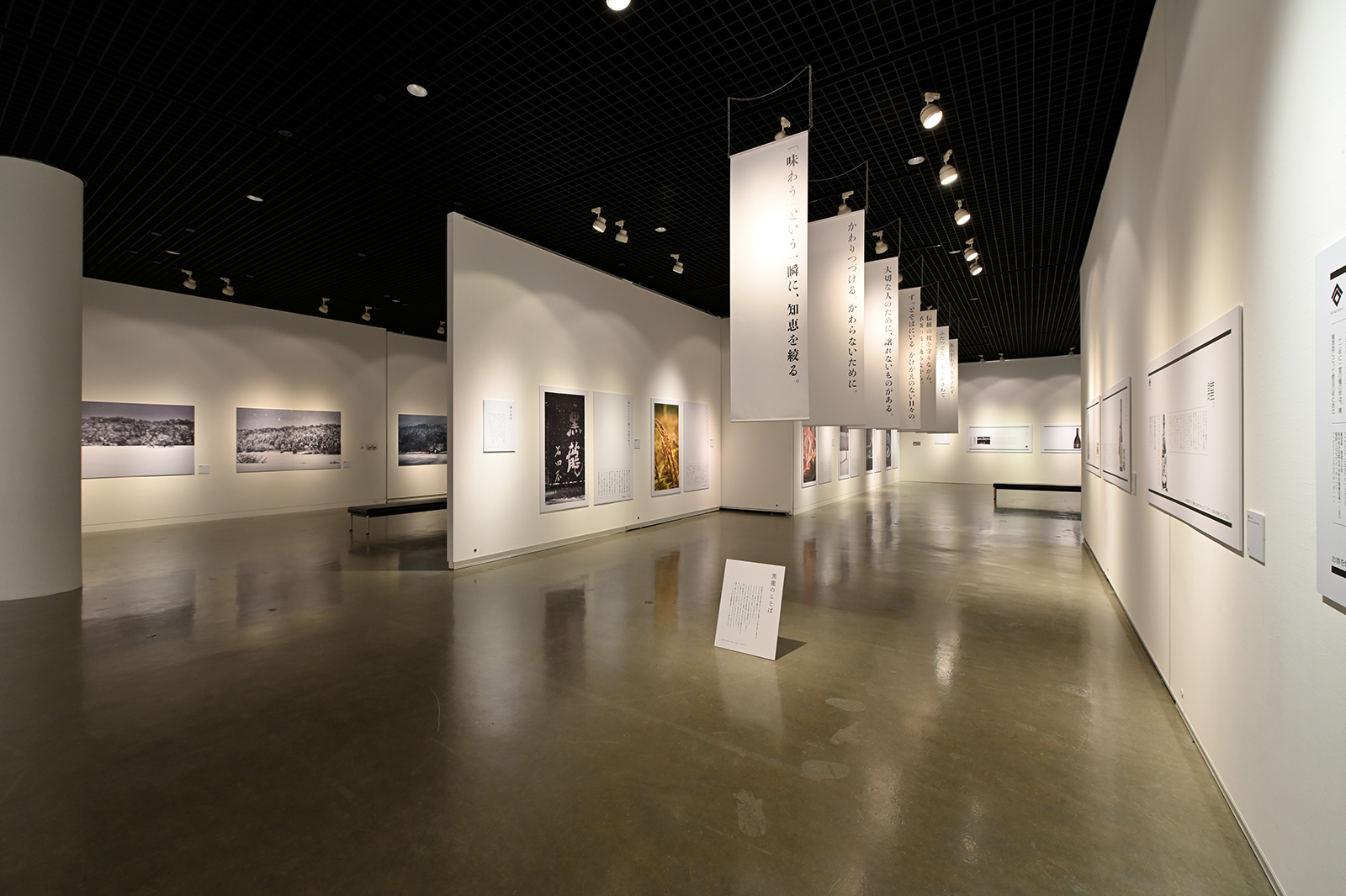 二人展 秀の間 樹の眼